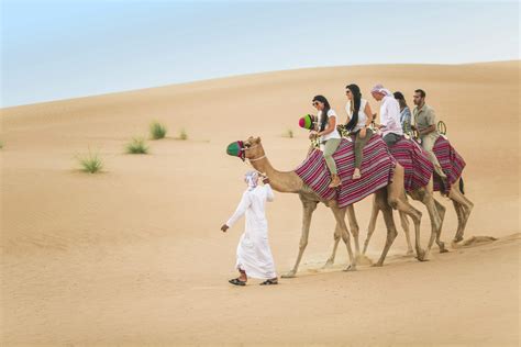 camel ride in dubai price